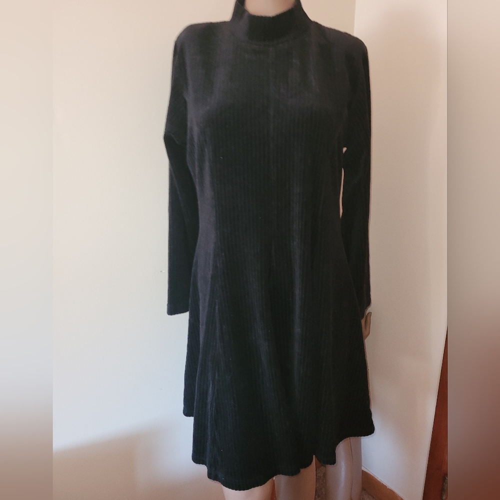 FADS Ribbed Velour Mock Turtleneck Longsleeve Dress